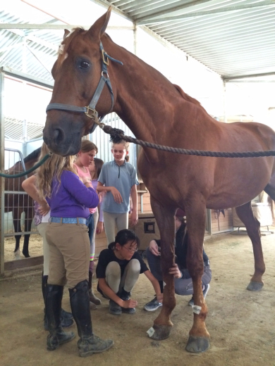 Horseback Riding Campも中盤に！の巻_d0114237_00231800.jpg