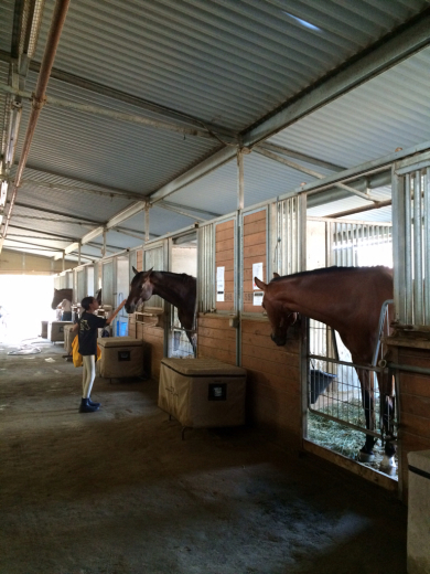 Horseback Riding Summer Camp最終日!の巻_d0114237_00402745.jpg