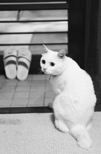寝不足のわけ_e0241944_19532848.jpg
