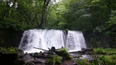 a0002447_21191910.jpg