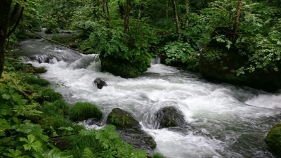 a0002447_21195858.jpg
