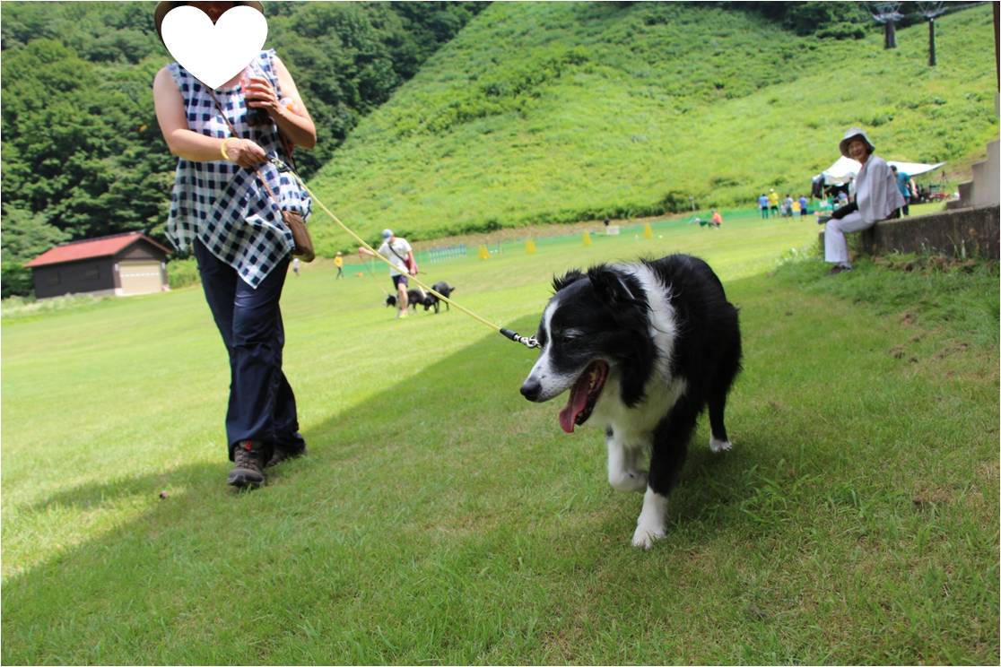 真夏の雪まつり☆福島県檜枝岐村_b0245048_6145811.jpg