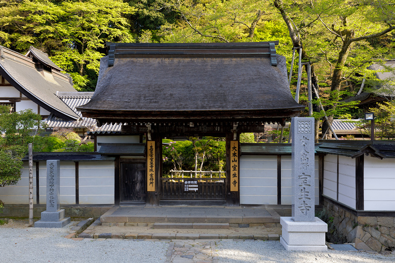 石楠花の室生寺_f0155048_20295887.jpg