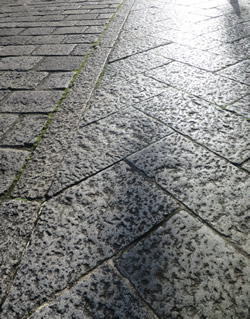 e0262651_933164.jpg