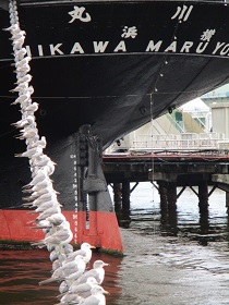 f0007580_234546.jpg