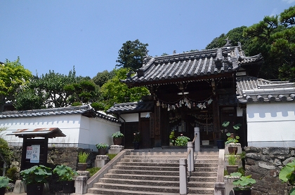 五條市　蓮の花　生蓮寺_c0229483_019288.jpg