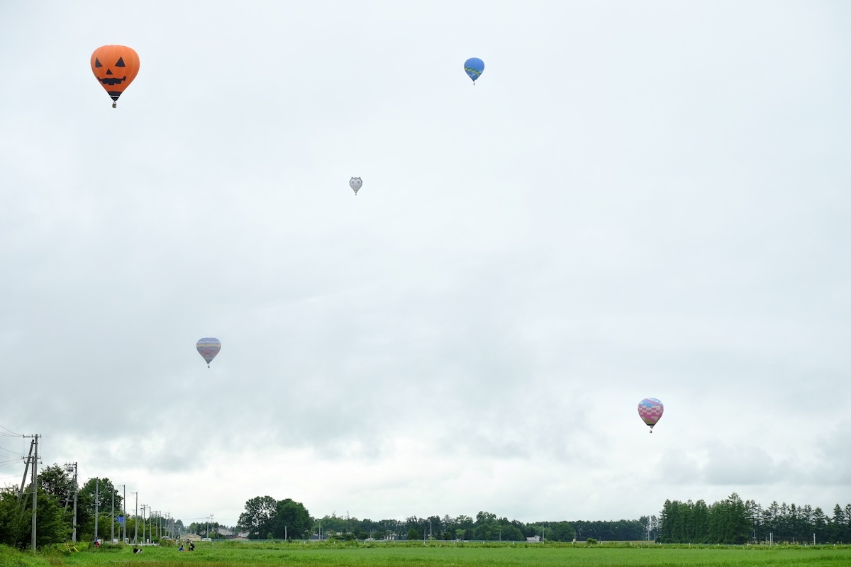 e0051186_15135972.jpg