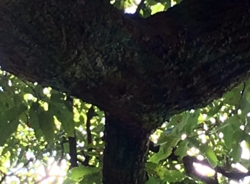 b0139489_19520068.jpg