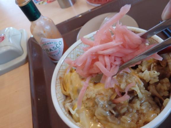 すき家のとろ～り3種のチーズ牛丼ミニ　宝塚中筋店_c0118393_1110335.jpg