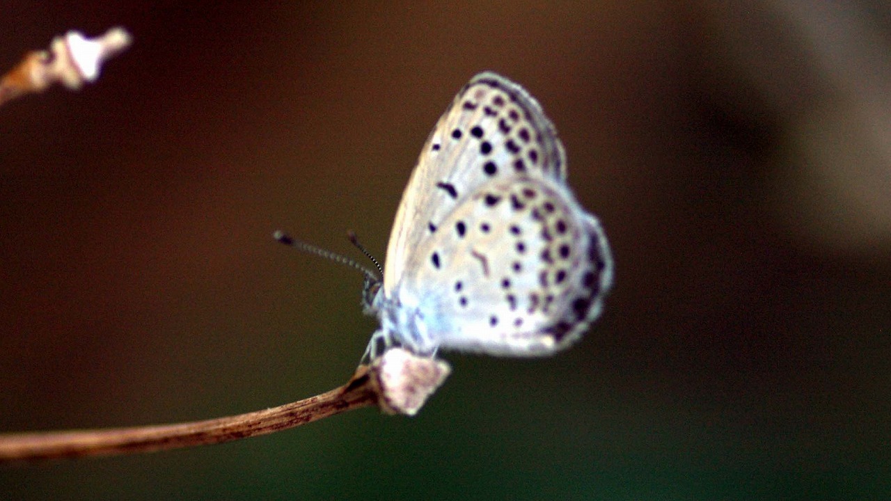 d0179594_16393120.jpg
