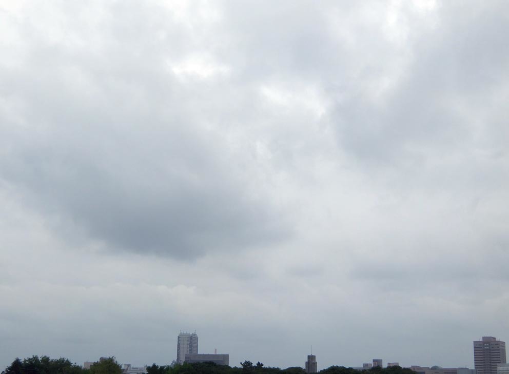 f0195002_13343007.jpg