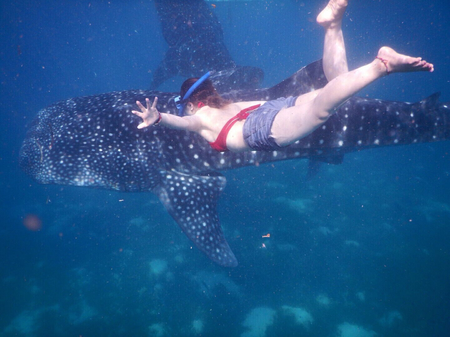 c0046316_22461903.jpg
