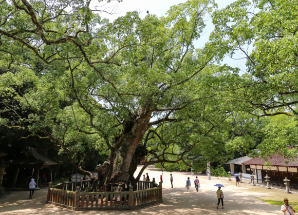 尾道・しまなみ海道・讃岐の旅…その３_f0363618_21134442.jpg