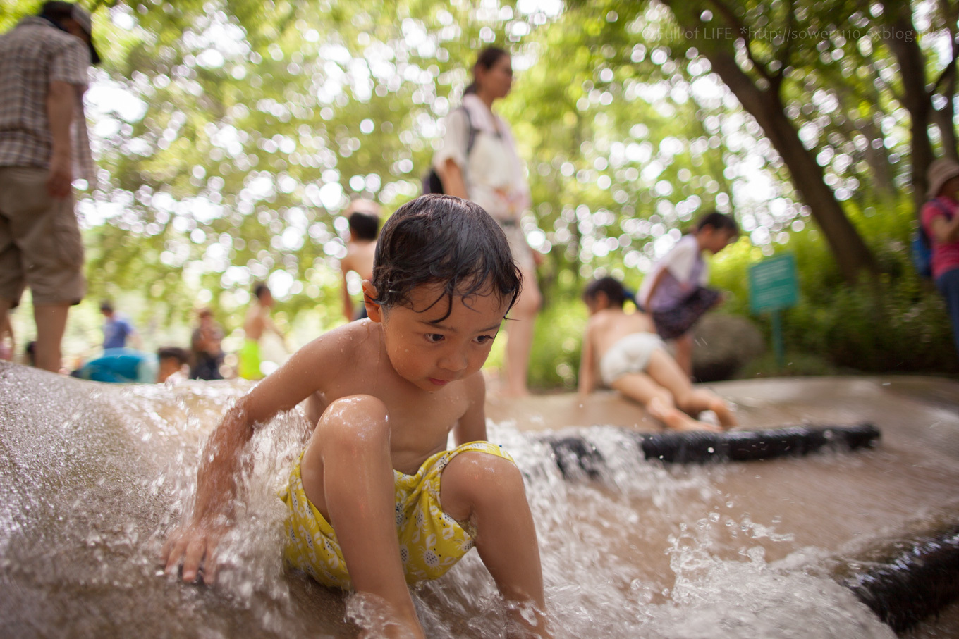 茨城県自然博物館「水の広場」で水遊び！_c0369219_16450598.jpg