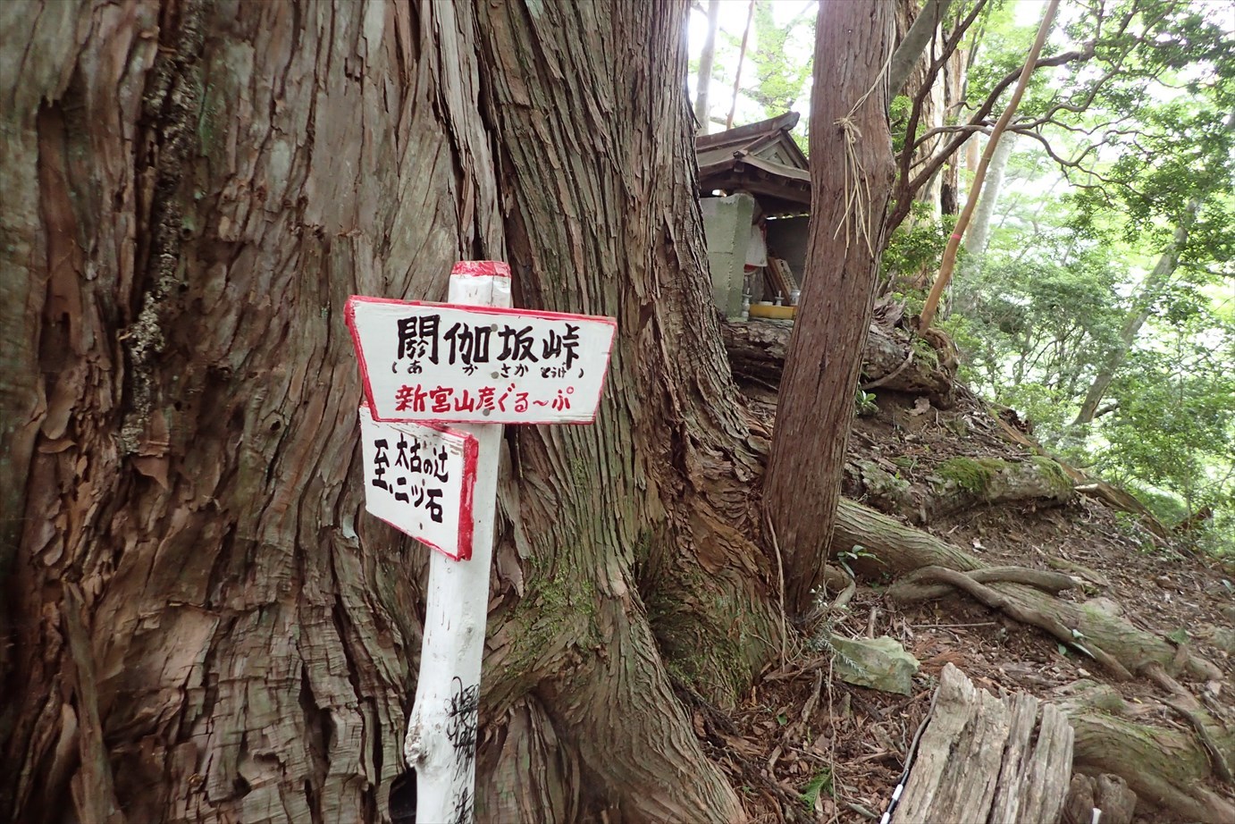 f0348933_21261996.jpg