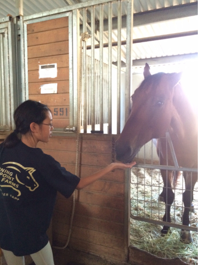 Horseback Riding Summer Camp最終日!の巻_d0114237_01153879.jpg