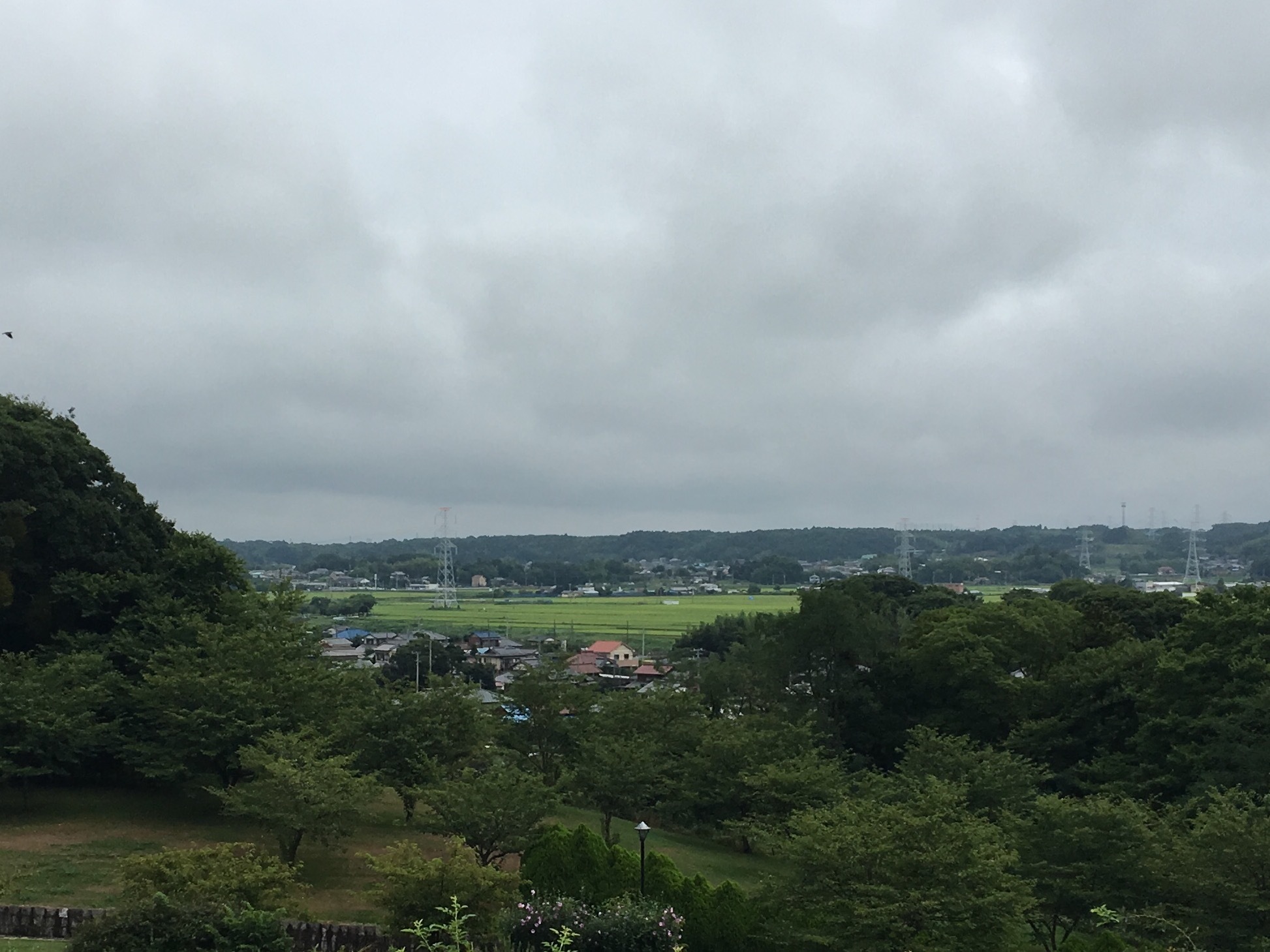 道の駅あずの里いちはらと農業センター_b0330040_12042394.jpg