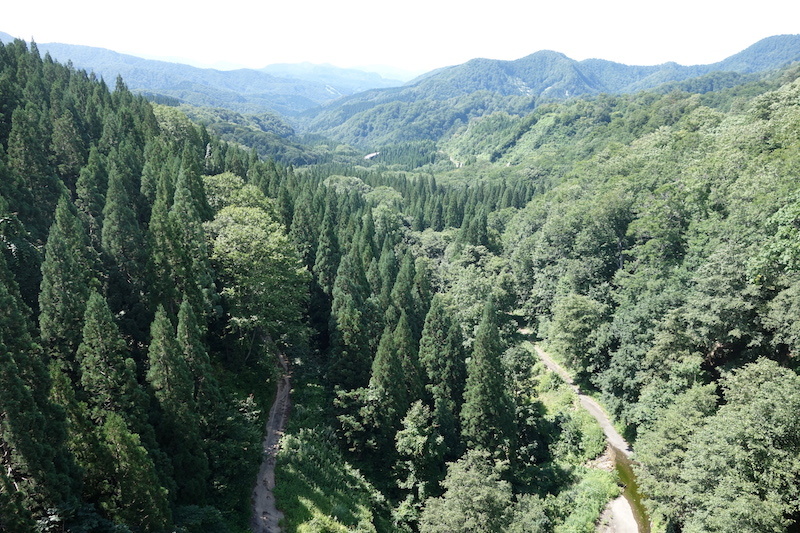 b0325549_22401910.jpg
