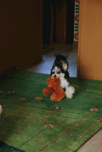 c0145250_08573359.gif