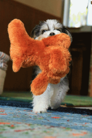 c0145250_08574411.gif