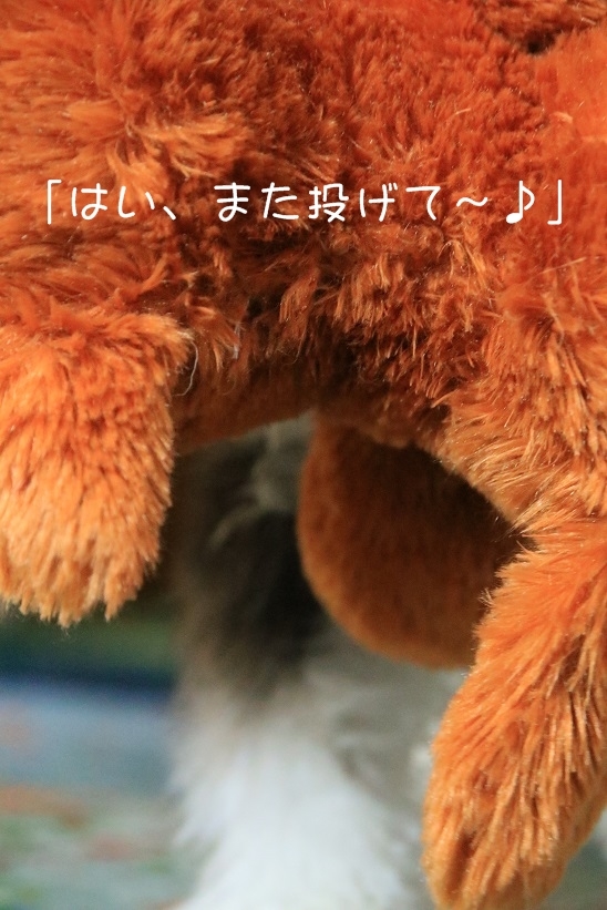 c0145250_08574799.jpg