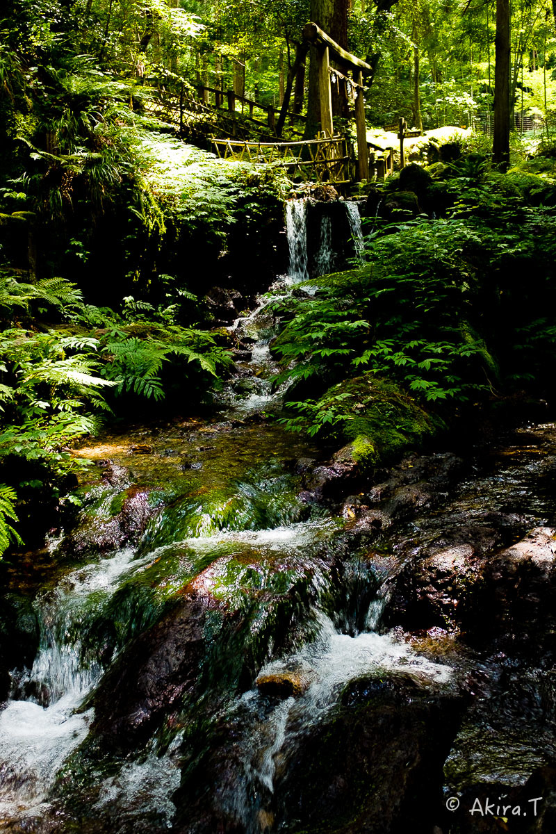 f0152550_22295072.jpg
