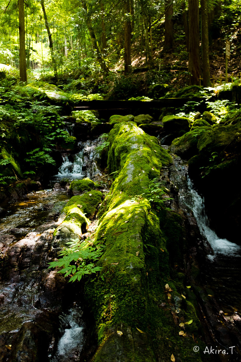 f0152550_22295721.jpg