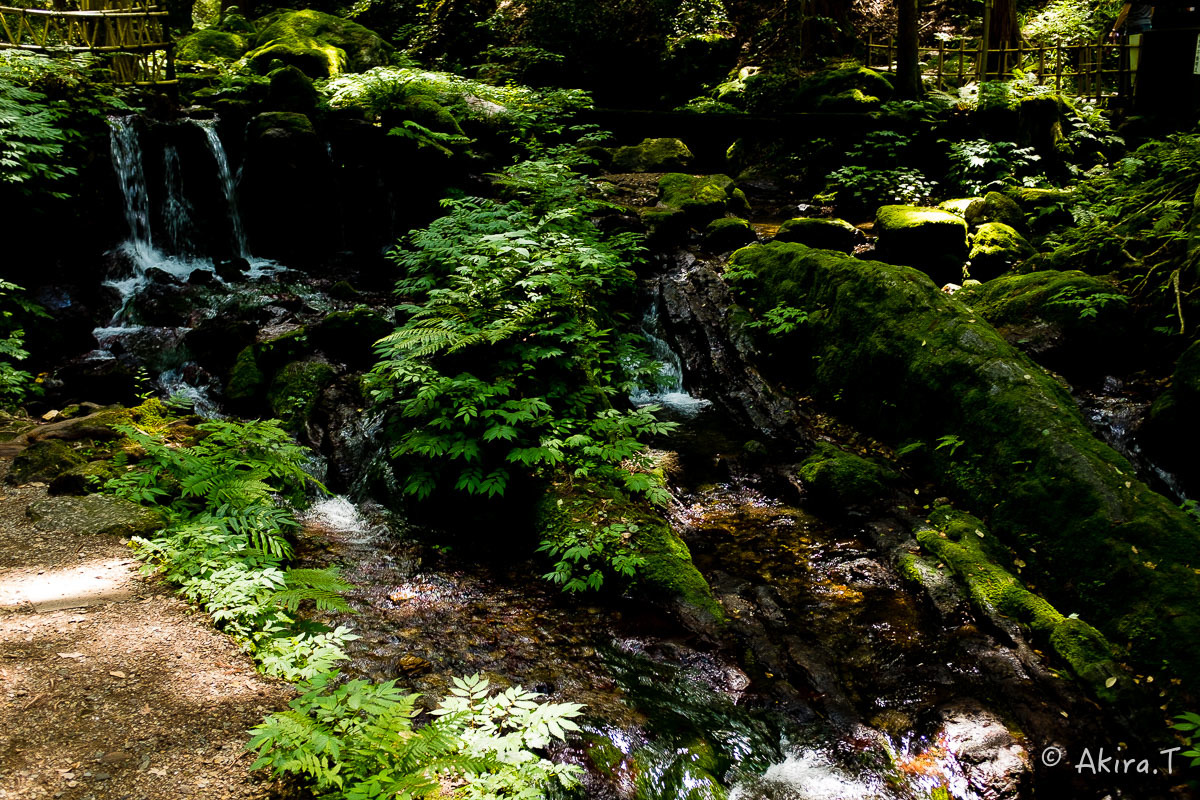 f0152550_22303351.jpg