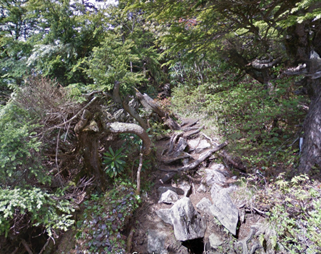 a0290852_13595594.png