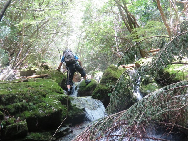 夢前町 亀ケ壺_b0227552_19115750.jpg
