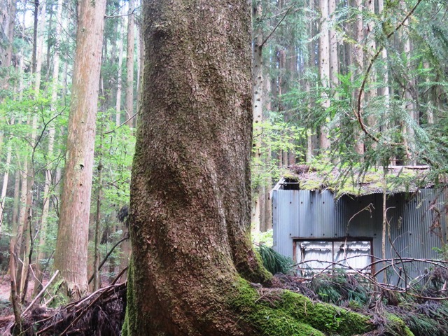 夢前町 亀ケ壺_b0227552_19121156.jpg