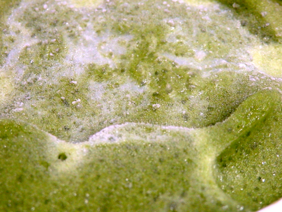 d0218056_21012917.jpg