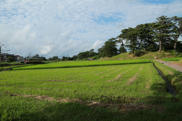 初日の寄り道　その２_c0337257_09512317.jpg