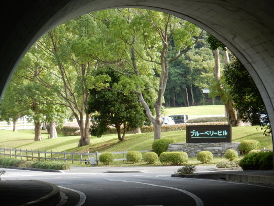 ’17,8,14(月)あと4キロはダイエット必須!_f0060461_11204398.jpg