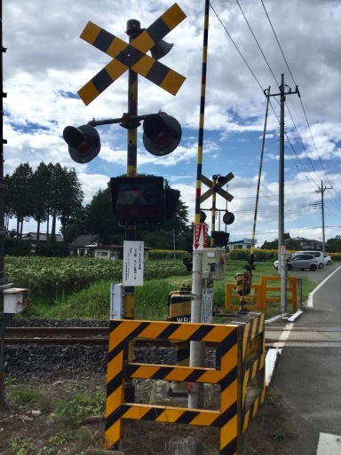 那須烏山市、小塙  ひまわり畑と蓄電池式列車「アキュム」_a0053063_23035314.jpg