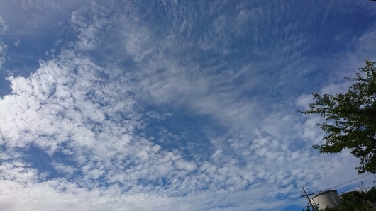d0362666_09382938.jpg
