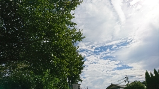d0362666_14385228.jpg
