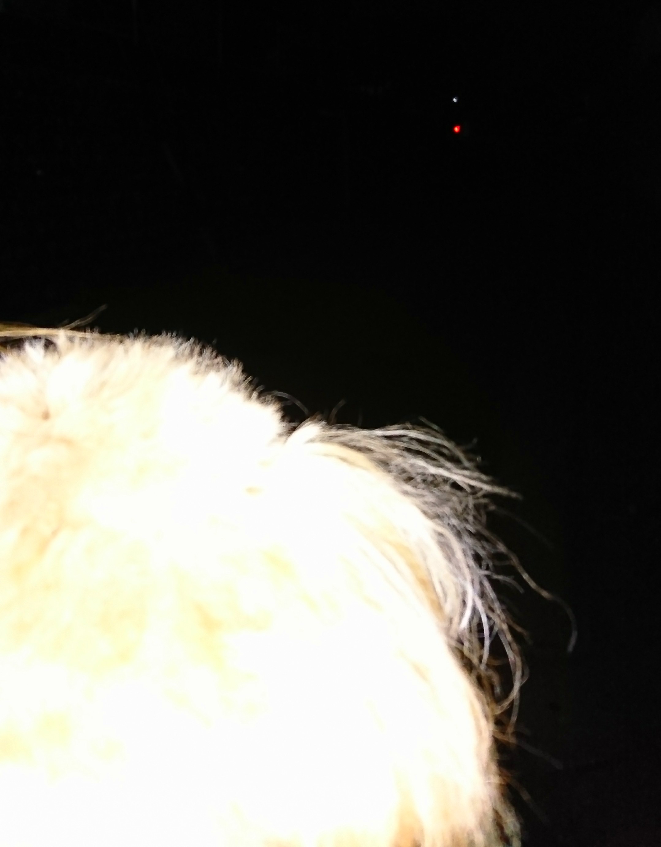 d0362666_15381011.jpg