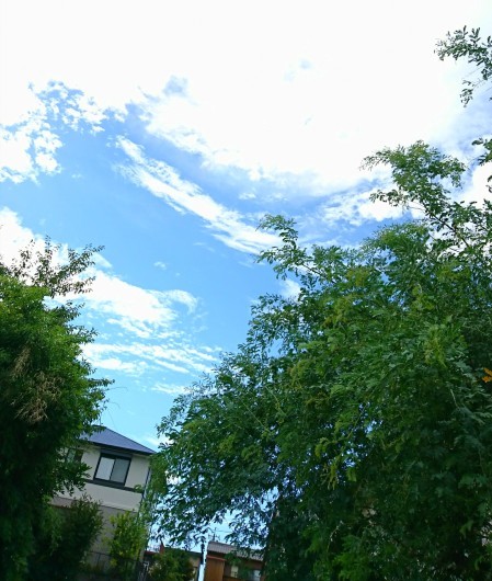 d0362666_15455005.jpg