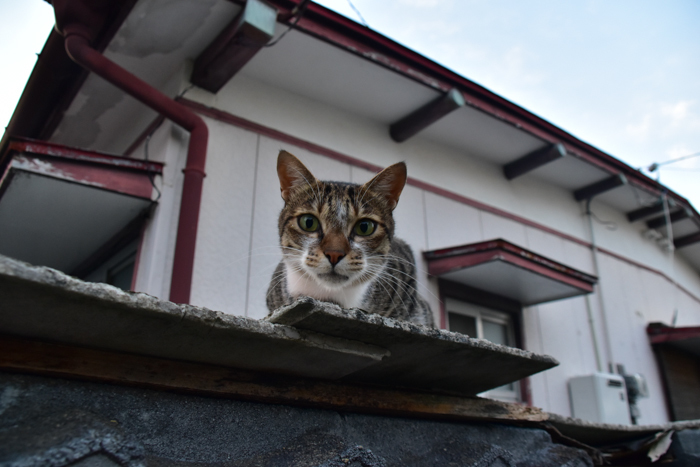 いつもの、久しぶりの、はじめての(^o^)_c0049299_20400820.jpg