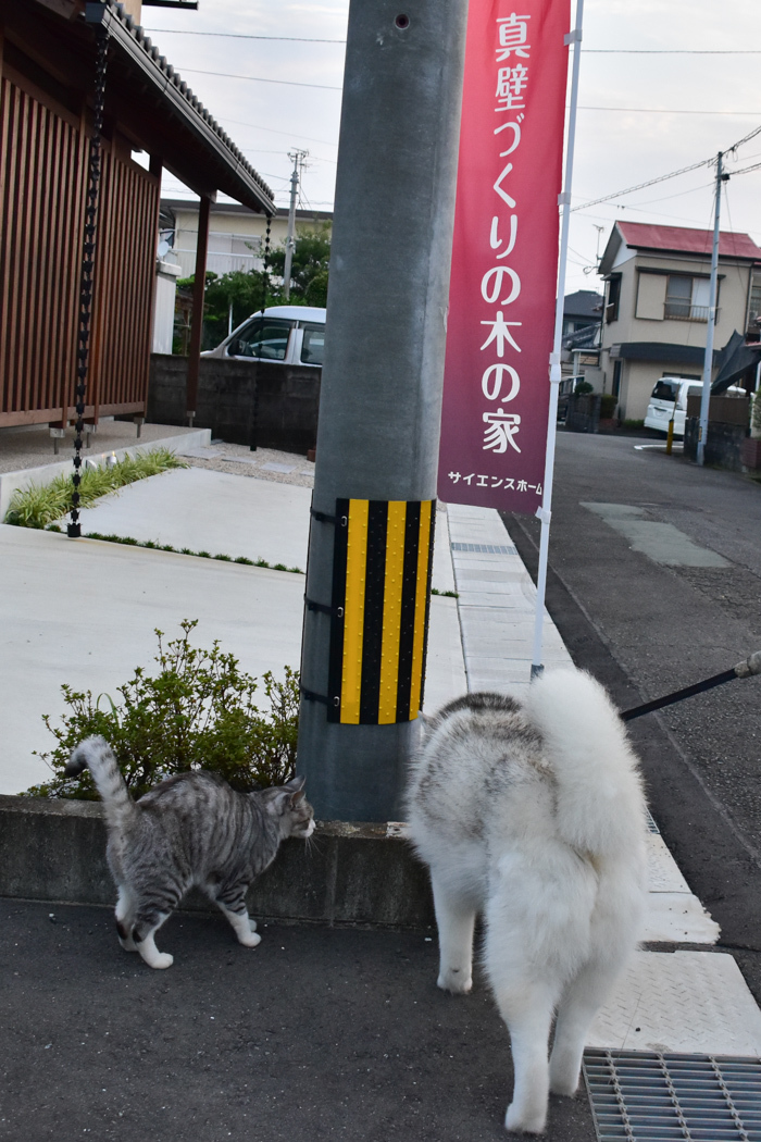 いつもの、久しぶりの、はじめての(^o^)_c0049299_20441510.jpg
