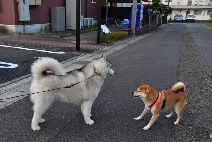 いつもの、久しぶりの、はじめての(^o^)_c0049299_20455504.jpg