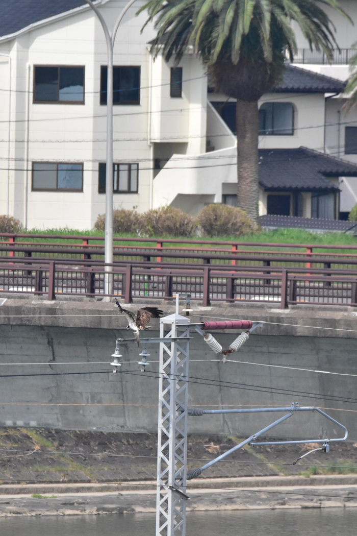 いつもの、久しぶりの、はじめての(^o^)_c0049299_20574642.jpg