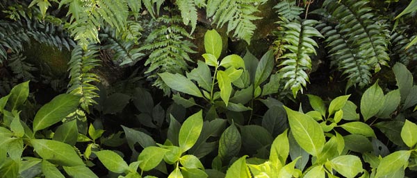 c0049902_945291.jpg