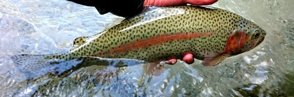 f0266202_02201864.jpg