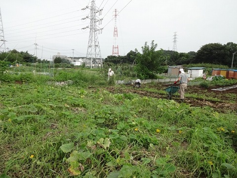 e0270403_12371817.jpg