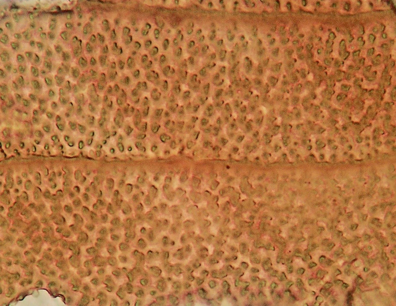 a0108105_19424464.jpg