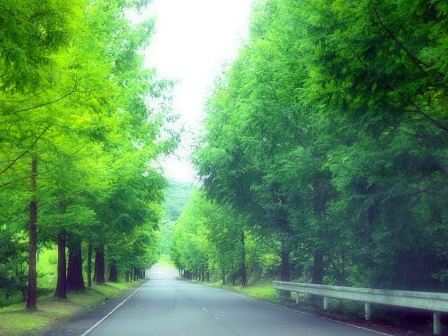 d0295818_17053604.jpg