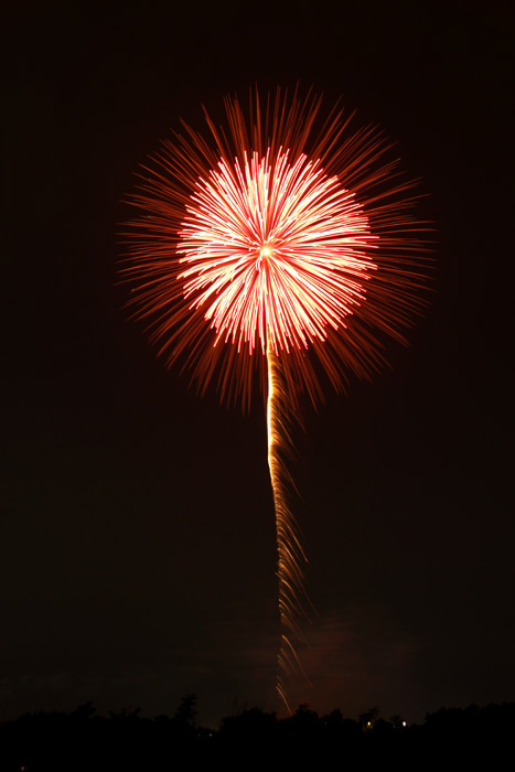 夏の夜空に咲いた_c0120834_20522478.jpg