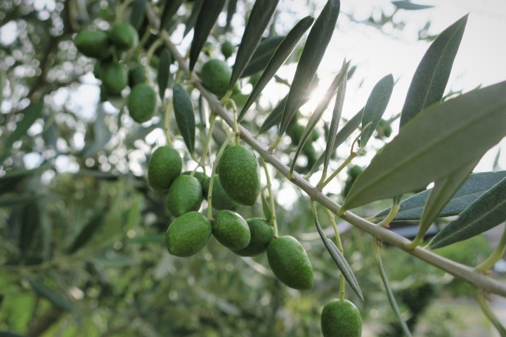 e0300042_20355320.jpg